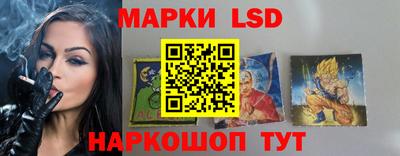 гидропоника Новозыбков