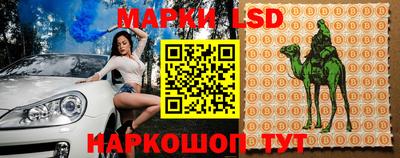 тгк Новокубанск