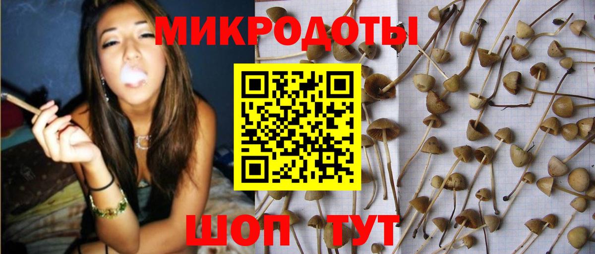 Псилоцибиновые грибы ЛСД  Вход с VPN  Сатка 