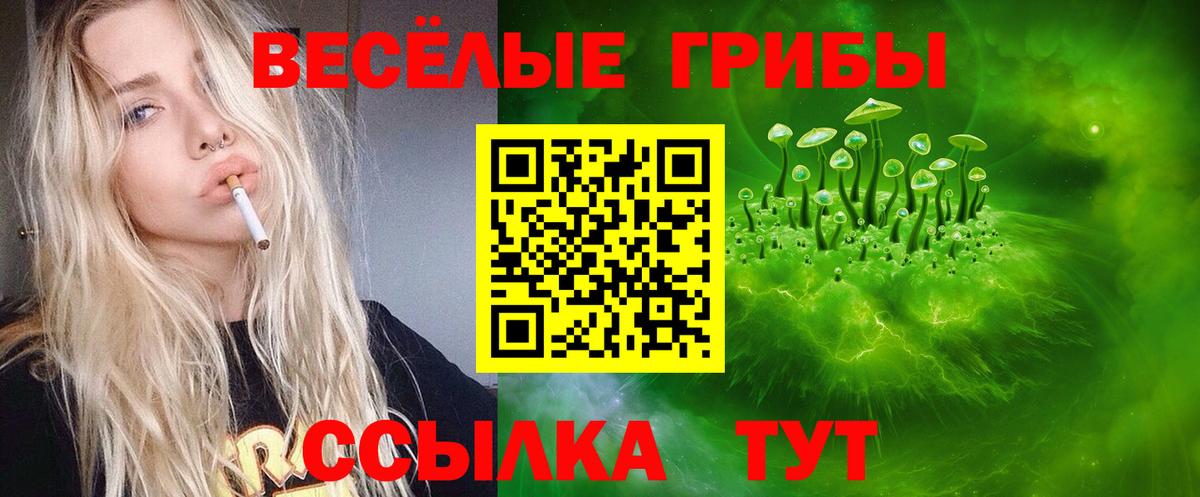 Псилоцибиновые грибы Psilocybine cubensis Сатка